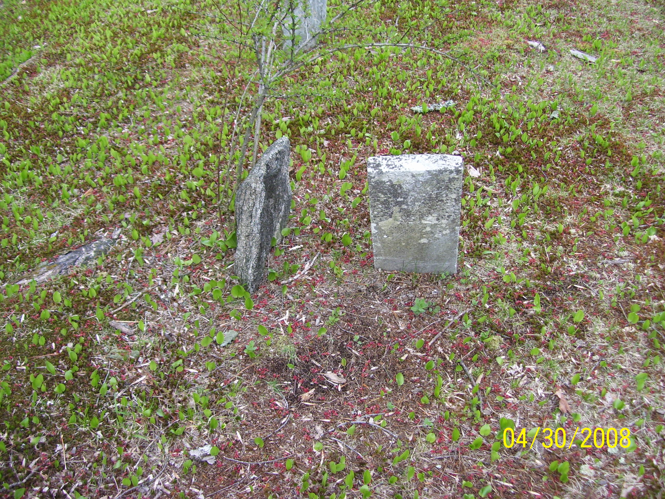David Quimby footstone and headstone